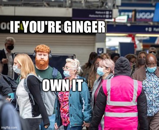 Ginger king | IF YOU'RE GINGER; OWN IT | image tagged in ginger | made w/ Imgflip meme maker