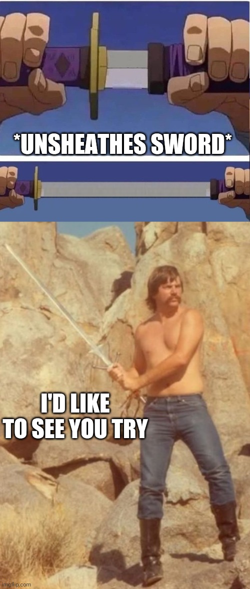 *UNSHEATHES SWORD* I'D LIKE TO SEE YOU TRY | image tagged in swordsman gary,sword | made w/ Imgflip meme maker