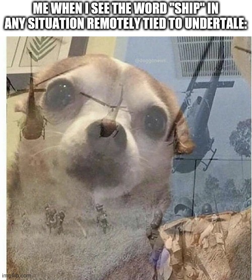 Which one? Uh... font, figure the rest out yourself. | ME WHEN I SEE THE WORD "SHIP" IN ANY SITUATION REMOTELY TIED TO UNDERTALE: | image tagged in ptsd chihuahua | made w/ Imgflip meme maker
