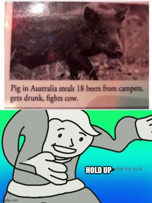 WTF?! | HOLD UP | image tagged in fallout boy excuse me wyf | made w/ Imgflip meme maker