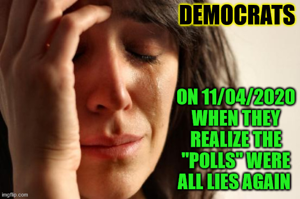 First World Problems Meme | DEMOCRATS; ON 11/04/2020
WHEN THEY REALIZE THE "POLLS" WERE ALL LIES AGAIN | image tagged in memes,first world problems | made w/ Imgflip meme maker