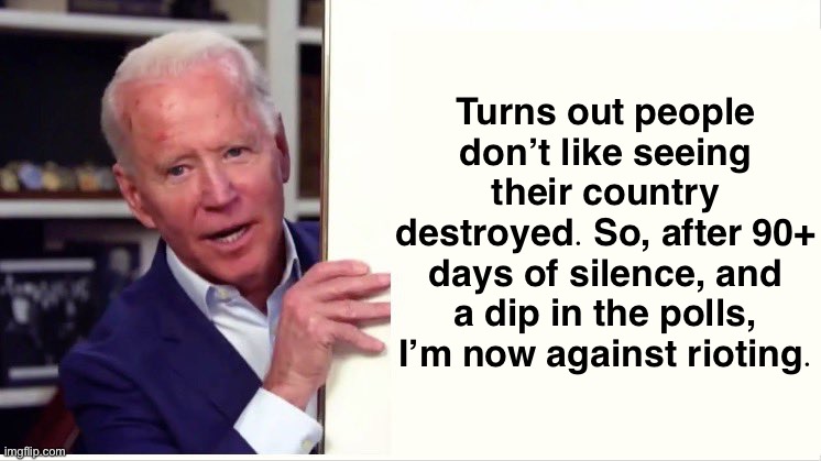 He should be on a bench, in a park, feeding the birds. | Turns out people don’t like seeing their country destroyed. So, after 90+ days of silence, and a dip in the polls, I’m now against rioting. | image tagged in joe biden board | made w/ Imgflip meme maker