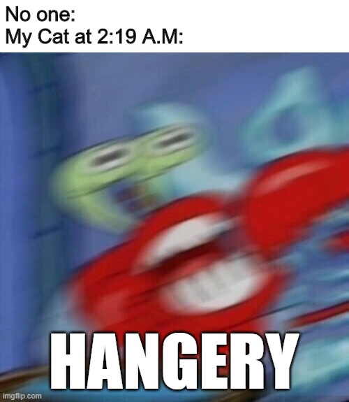 My cat be like | No one:
My Cat at 2:19 A.M:; HANGERY | image tagged in mr krabs blur,memes | made w/ Imgflip meme maker