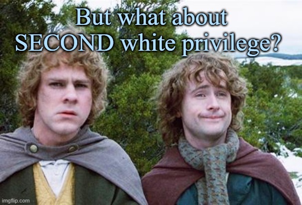 We wants it back, preciousss | But what about SECOND white privilege? | image tagged in second breakfast | made w/ Imgflip meme maker