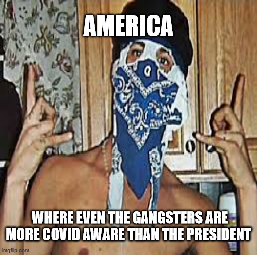 covid-19 aware chicano | AMERICA; WHERE EVEN THE GANGSTERS ARE MORE COVID AWARE THAN THE PRESIDENT | image tagged in covid-19,trump,ms13,chicano,biden,election 2020 | made w/ Imgflip meme maker