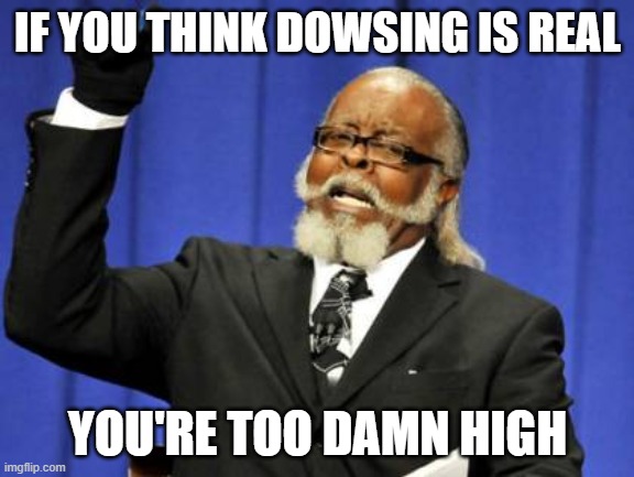 Too Damn High Meme | IF YOU THINK DOWSING IS REAL; YOU'RE TOO DAMN HIGH | image tagged in memes,too damn high,memes | made w/ Imgflip meme maker