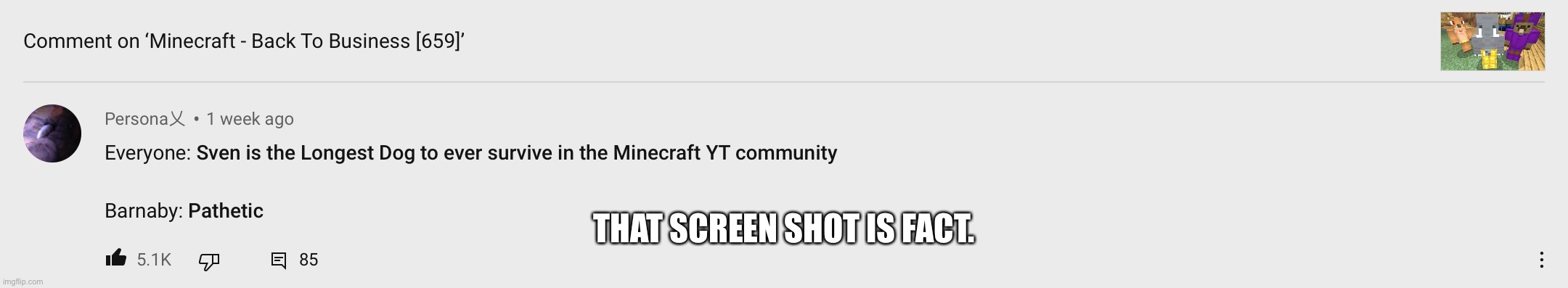 The forgotten truth | THAT SCREEN SHOT IS FACT. | image tagged in fun,minecraft | made w/ Imgflip meme maker