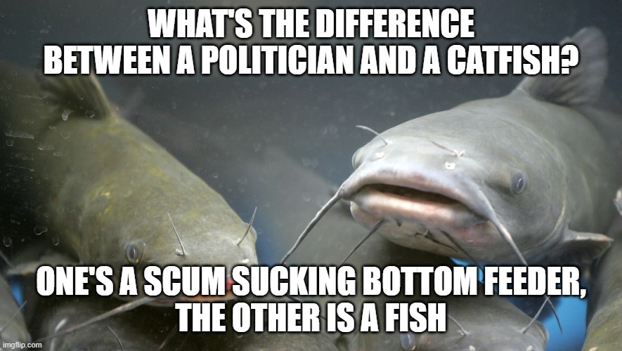 Politicians | WHAT'S THE DIFFERENCE BETWEEN A POLITICIAN AND A CATFISH? ONE'S A SCUM SUCKING BOTTOM FEEDER,
THE OTHER IS A FISH | image tagged in political meme,politics lol,political humor,politicians | made w/ Imgflip meme maker