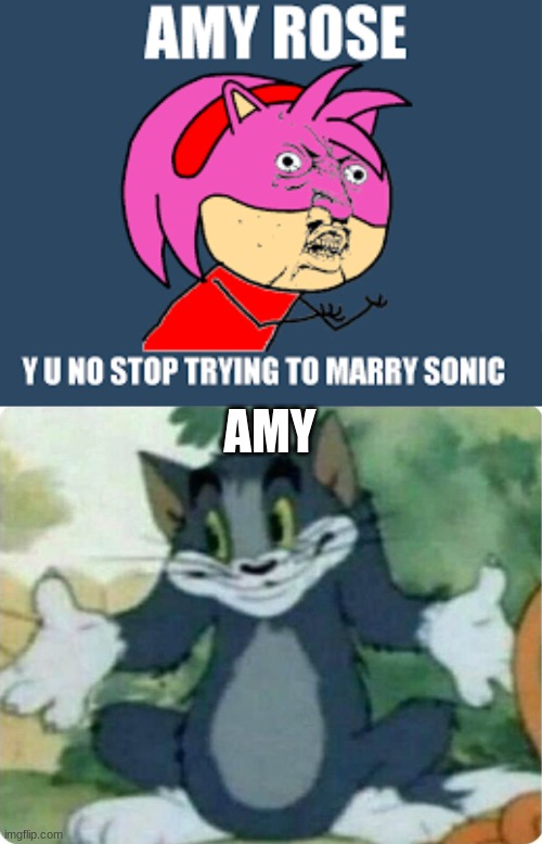 AMY | image tagged in tom shrugging | made w/ Imgflip meme maker