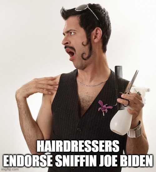 Gay Hair Dresser | HAIRDRESSERS ENDORSE SNIFFIN JOE BIDEN | image tagged in gay hair dresser | made w/ Imgflip meme maker