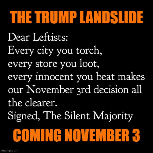 The snowflake meltdown of 2020 will be GLORIOUS and EPIC. | THE TRUMP LANDSLIDE; COMING NOVEMBER 3 | image tagged in election 2020,trump,maga,ConservativeMemes | made w/ Imgflip meme maker