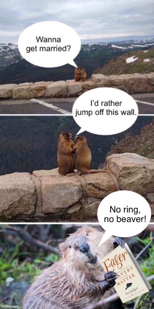 Indecent Proposal | No ring, no beaver! | image tagged in beavers,marriage,funny meme,wedding ring | made w/ Imgflip meme maker