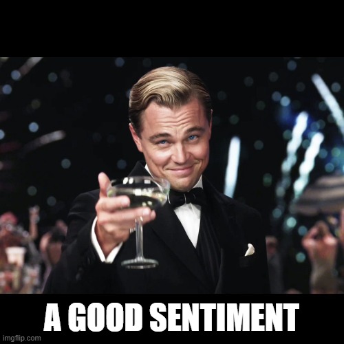 Leonardo DiCaprio Toast | A GOOD SENTIMENT | image tagged in leonardo dicaprio toast | made w/ Imgflip meme maker