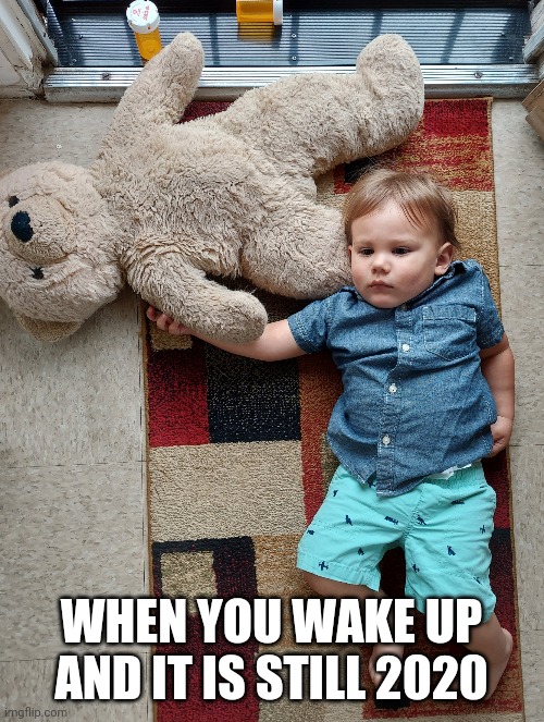 Over it | WHEN YOU WAKE UP AND IT IS STILL 2020 | image tagged in over it | made w/ Imgflip meme maker