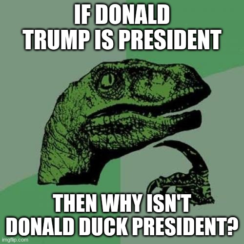 Philosoraptor | IF DONALD TRUMP IS PRESIDENT; THEN WHY ISN'T DONALD DUCK PRESIDENT? | image tagged in memes,philosoraptor | made w/ Imgflip meme maker