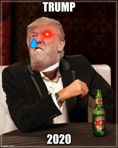 The Most Interesting Man In The World | TRUMP; 2020 | image tagged in memes,the most interesting man in the world | made w/ Imgflip meme maker