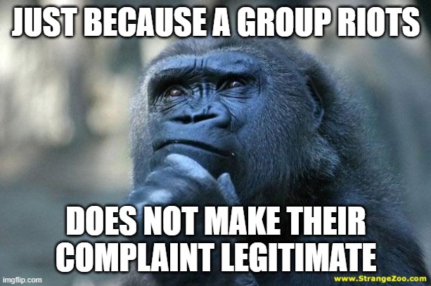Deep Thoughts | JUST BECAUSE A GROUP RIOTS DOES NOT MAKE THEIR COMPLAINT LEGITIMATE | image tagged in deep thoughts | made w/ Imgflip meme maker
