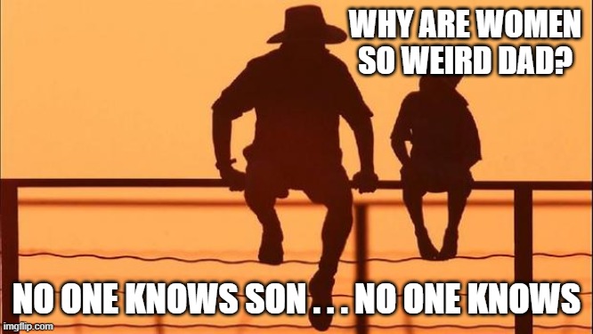 Cowboy father and son | WHY ARE WOMEN SO WEIRD DAD? NO ONE KNOWS SON . . . NO ONE KNOWS | image tagged in cowboy father and son | made w/ Imgflip meme maker