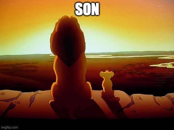 Lion King Meme | SON | image tagged in memes,lion king | made w/ Imgflip meme maker