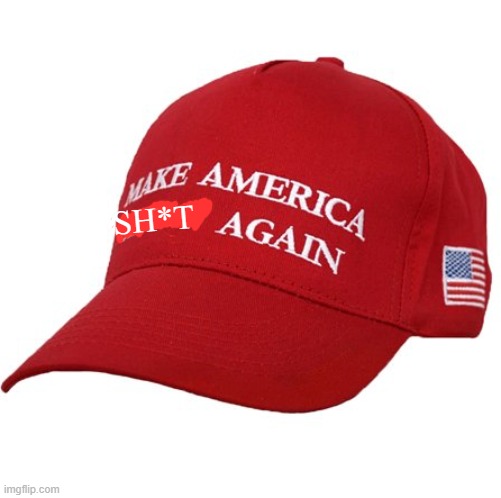 MAGA HAT | SH*T | image tagged in maga hat | made w/ Imgflip meme maker