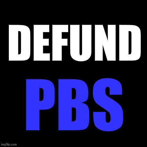 DEFUND PBS | DEFUND; PBS | image tagged in defund,defund pbs,public broadcasting system,fake news | made w/ Imgflip meme maker