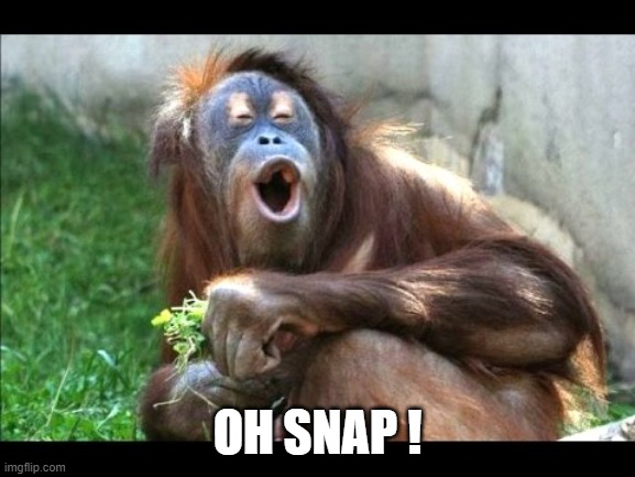 Oh snap | OH SNAP ! | image tagged in oh snap | made w/ Imgflip meme maker