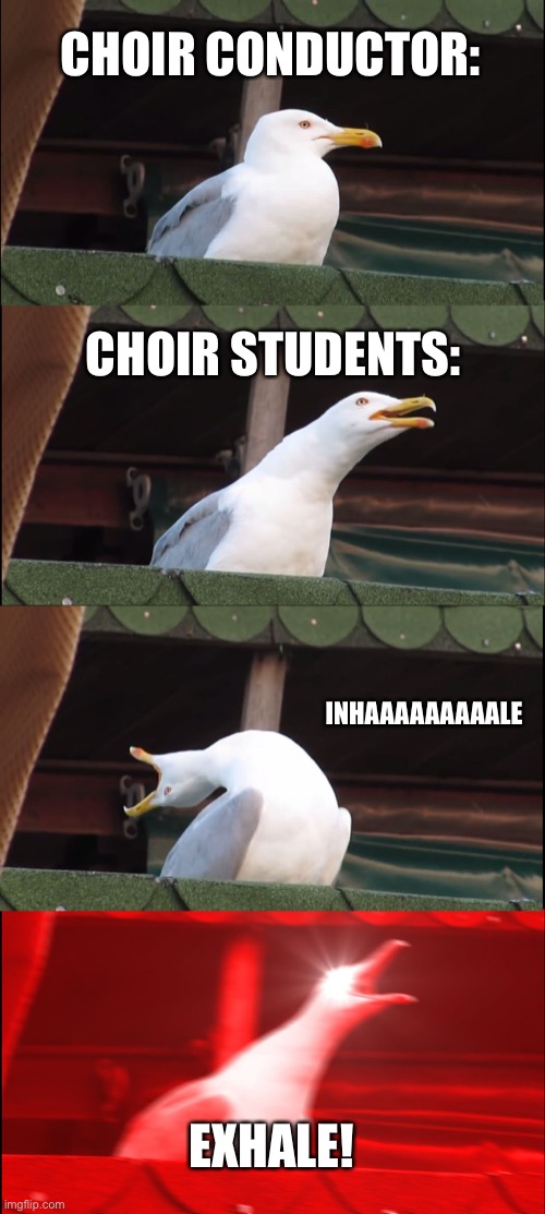 Inhaling Seagull Meme | CHOIR CONDUCTOR:; CHOIR STUDENTS:; INHAAAAAAAAALE; EXHALE! | image tagged in memes,inhaling seagull | made w/ Imgflip meme maker
