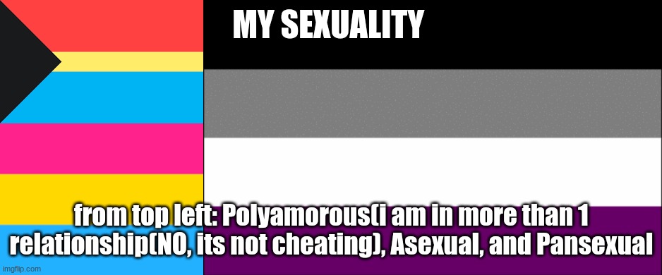 i am polyamorous(that just means i might be in more than on relationship at a time, it does NOT mean that I am cheating) | MY SEXUALITY; from top left: Polyamorous(i am in more than 1 relationship(NO, its not cheating), Asexual, and Pansexual | image tagged in pansexual flag,ace flag,asexual,polyamorous | made w/ Imgflip meme maker