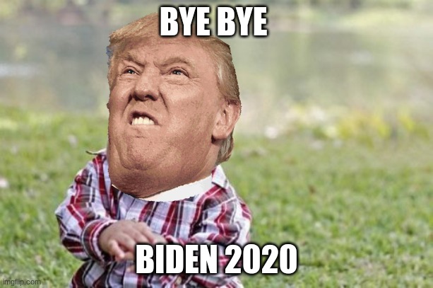 MY MEME | BYE BYE; BIDEN 2020 | image tagged in memes,evil toddler | made w/ Imgflip meme maker