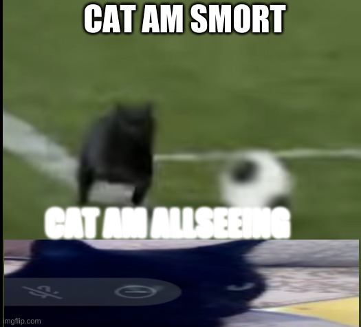Cat of all power | CAT AM SMORT; CAT AM ALLSEEING | image tagged in cats,over 9000 | made w/ Imgflip meme maker