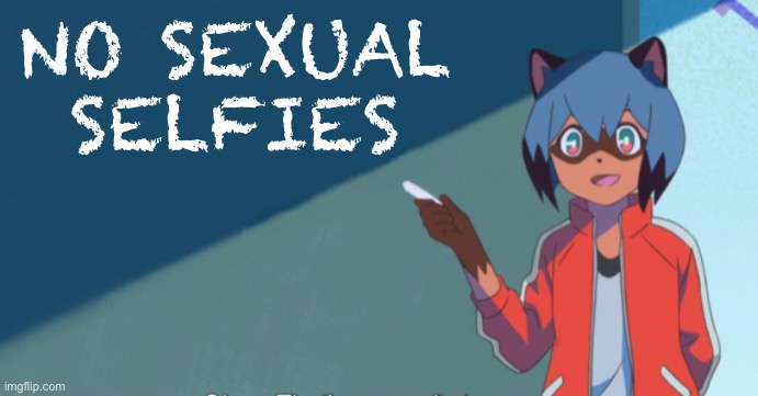 High Quality No sexual selfies Blank Meme Template