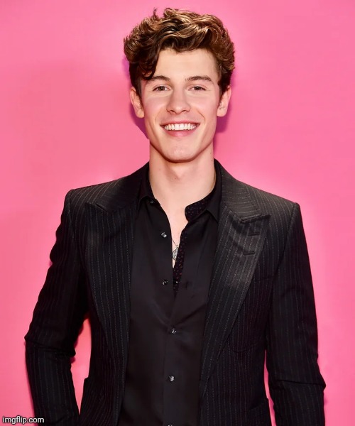 Shawn Mendes | image tagged in cool | made w/ Imgflip meme maker