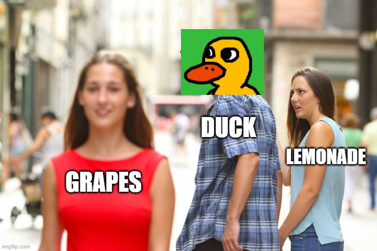 Distracted Boyfriend | DUCK; LEMONADE; GRAPES | image tagged in memes,distracted boyfriend | made w/ Imgflip meme maker