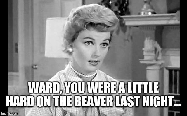 June Cleaver | WARD, YOU WERE A LITTLE HARD ON THE BEAVER LAST NIGHT... | image tagged in june cleaver | made w/ Imgflip meme maker