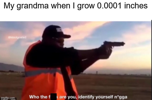 e | My grandma when I grow 0.0001 inches | image tagged in identify yourself,who are you,grandma | made w/ Imgflip meme maker