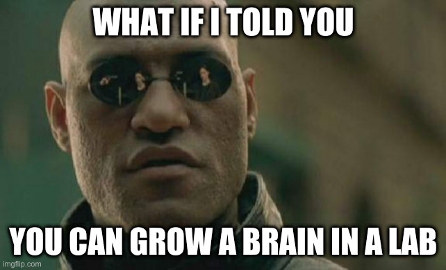 Matrix Morpheus Meme | WHAT IF I TOLD YOU; YOU CAN GROW A BRAIN IN A LAB | image tagged in memes,matrix morpheus | made w/ Imgflip meme maker