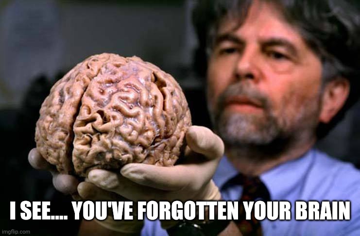 Lost brain | I SEE.... YOU'VE FORGOTTEN YOUR BRAIN | image tagged in lost brain | made w/ Imgflip meme maker