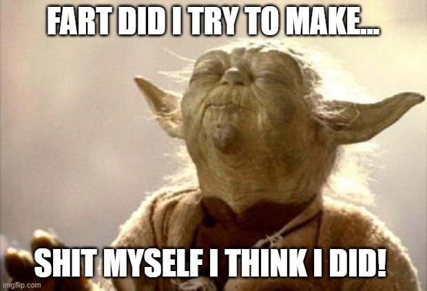 Fart or shit? | FART DID I TRY TO MAKE... SHIT MYSELF I THINK I DID! | image tagged in yoda smell | made w/ Imgflip meme maker