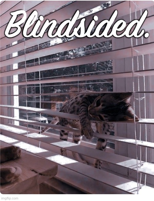 Blindsided. | made w/ Imgflip meme maker