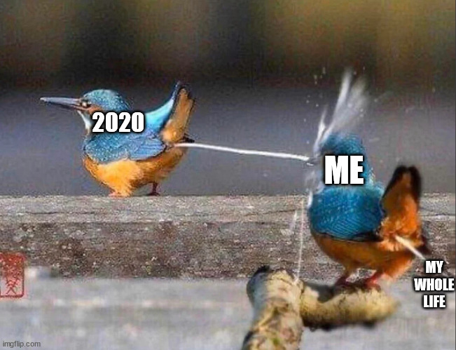 2020; ME; MY WHOLE LIFE | image tagged in memes | made w/ Imgflip meme maker