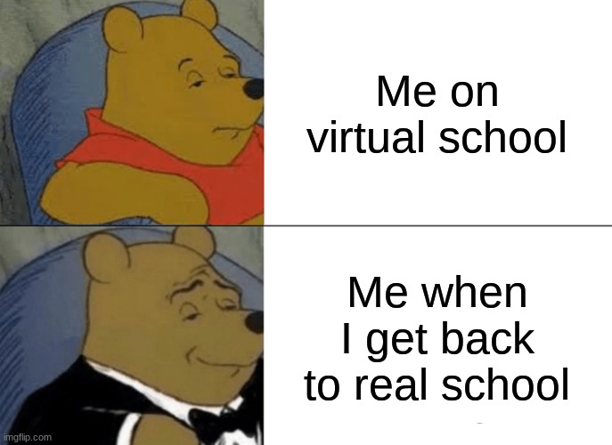 Tuxedo Winnie The Pooh Meme | Me on virtual school; Me when I get back to real school | image tagged in tuxedo winnie the pooh | made w/ Imgflip meme maker