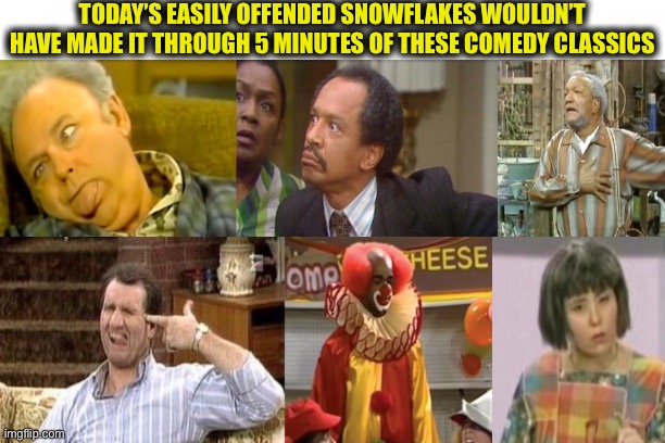 They wouldn’t need a “safe space” they would need a hospital | TODAY’S EASILY OFFENDED SNOWFLAKES WOULDN’T HAVE MADE IT THROUGH 5 MINUTES OF THESE COMEDY CLASSICS | image tagged in snowflakes,millennials,gen z,archie bunker,al bundy,fred sanford | made w/ Imgflip meme maker