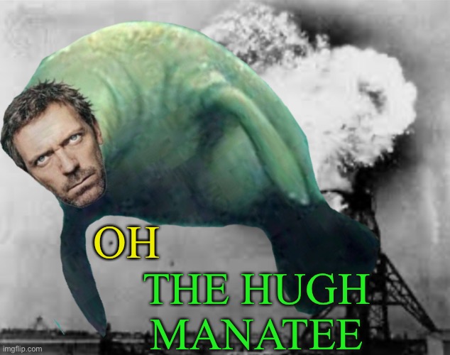My photoshopping is the real disaster here ;-) | OH; THE HUGH MANATEE | image tagged in oh the humanity,hugh laurie,manatee,hindenburg disaster,play on words | made w/ Imgflip meme maker