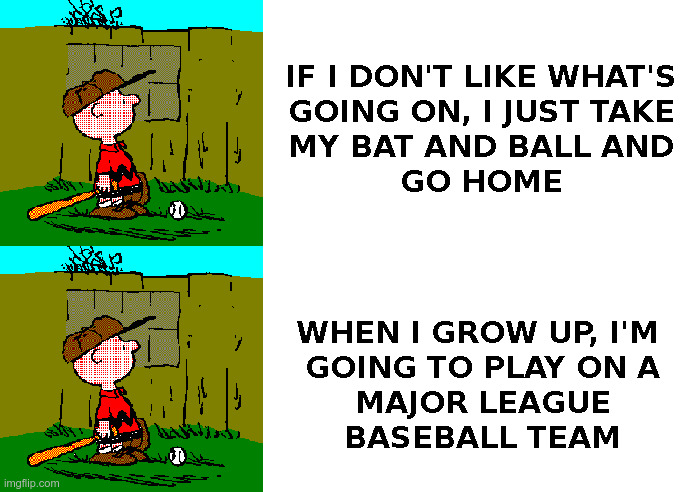 What Would Charlie Brown Do? | image tagged in peanuts,charlie brown,mlb baseball,black lives matter,looting,riots | made w/ Imgflip meme maker