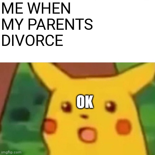 Surprised Pikachu | ME WHEN MY PARENTS DIVORCE; OK | image tagged in memes,surprised pikachu | made w/ Imgflip meme maker