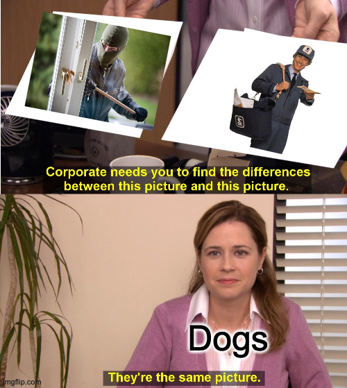They're The Same Picture Meme | Dogs | image tagged in memes,they're the same picture | made w/ Imgflip meme maker