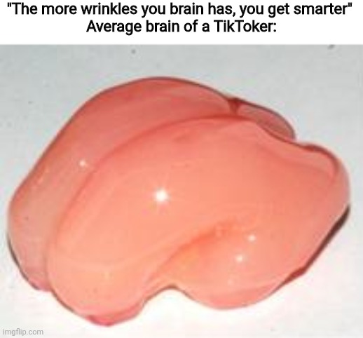 The smoothest of brains | "The more wrinkles you brain has, you get smarter" 
Average brain of a TikToker: | image tagged in smooth brain,tik tok,sucks,memes | made w/ Imgflip meme maker