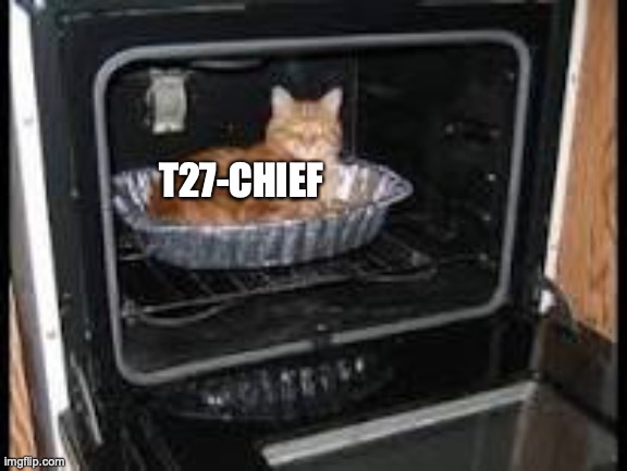 Cat in oven | T27-CHIEF | image tagged in cat in oven | made w/ Imgflip meme maker