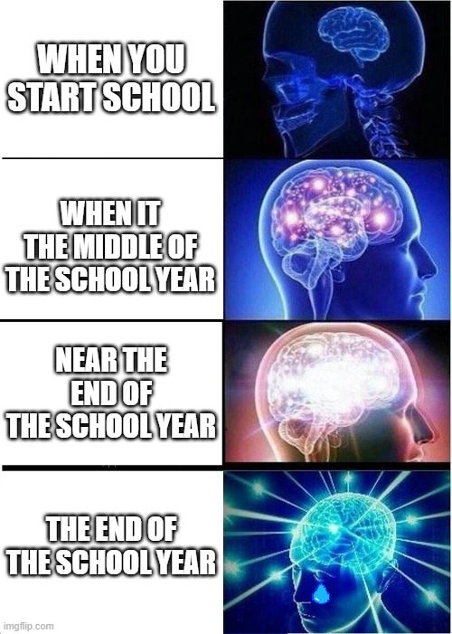Expanding Brain Meme | WHEN YOU START SCHOOL; WHEN IT THE MIDDLE OF THE SCHOOL YEAR; NEAR THE END OF THE SCHOOL YEAR; THE END OF THE SCHOOL YEAR | image tagged in memes,expanding brain | made w/ Imgflip meme maker