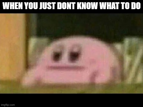 Kirby derp-face  | WHEN YOU JUST DONT KNOW WHAT TO DO | image tagged in kirby derp-face | made w/ Imgflip meme maker